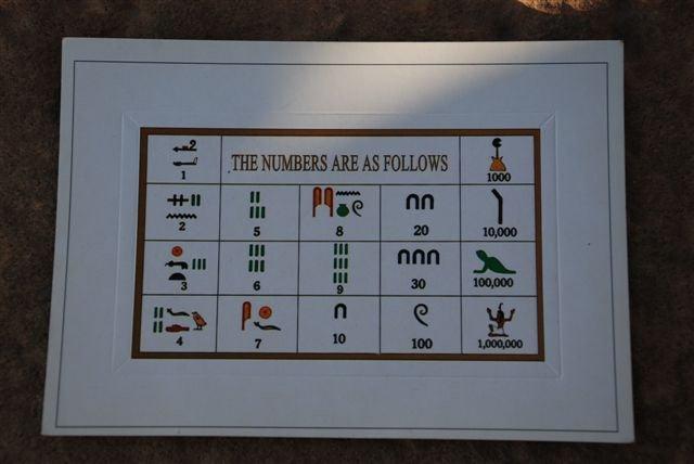 DSC 1003